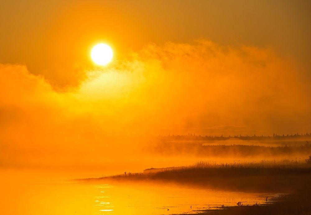 Canada-Manitoba-Riding Mountain National Park Fog rising above Whirlpool Lake at sunrise art print by Jaynes Gallery for $57.95 CAD